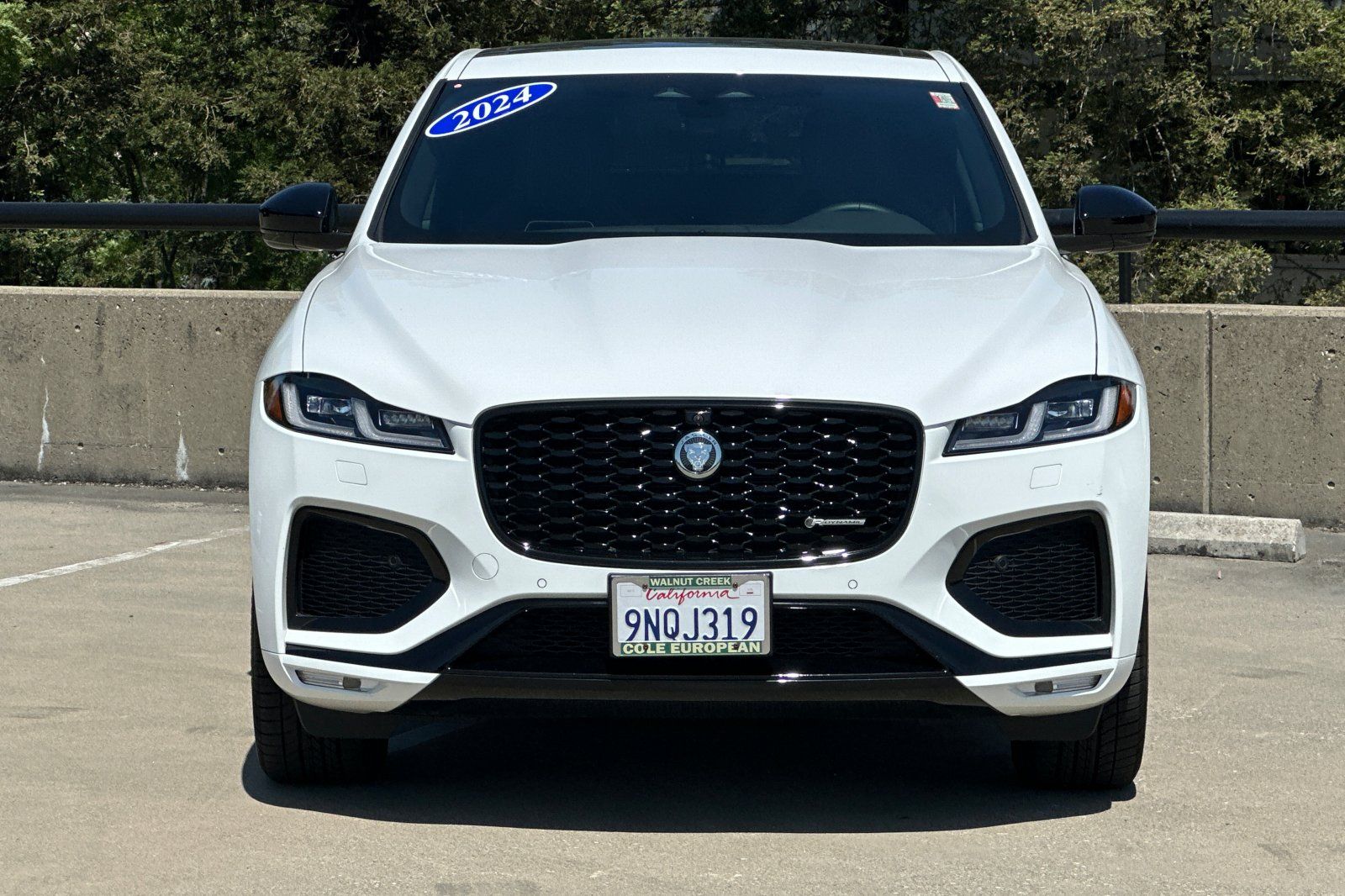 2024 Jaguar F-PACE P250 R-Dynamic S photo 3