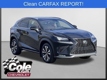 2019 LEXUS NX NX 300
