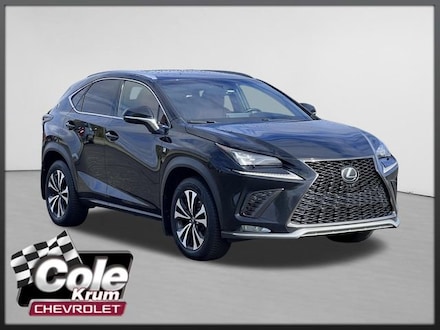 2019 LEXUS NX NX 300