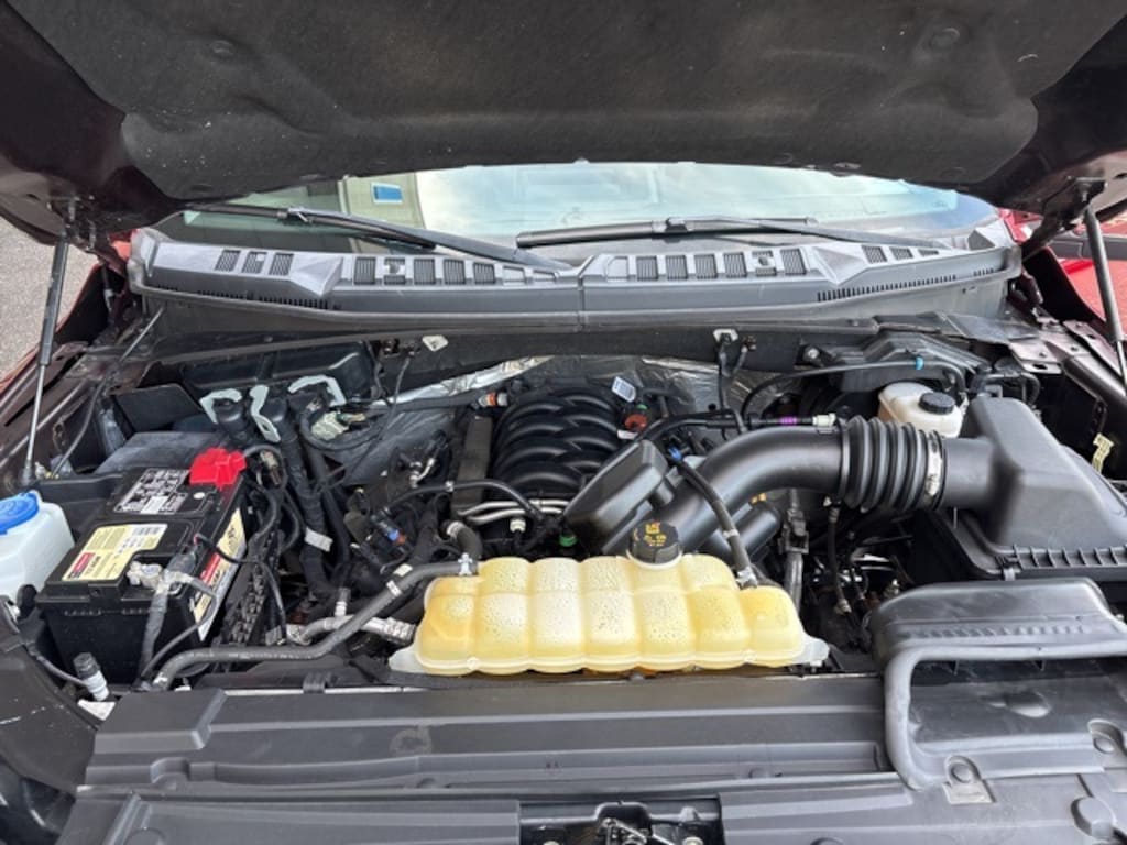 Used 2019 Ford F-150 XLT Truck