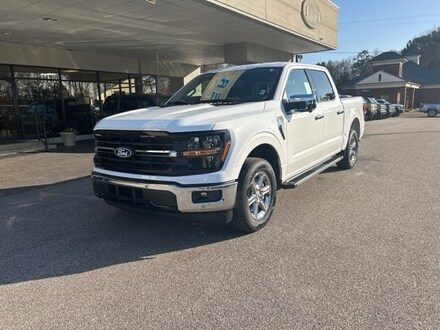 2025 Ford F-150 XLT Truck