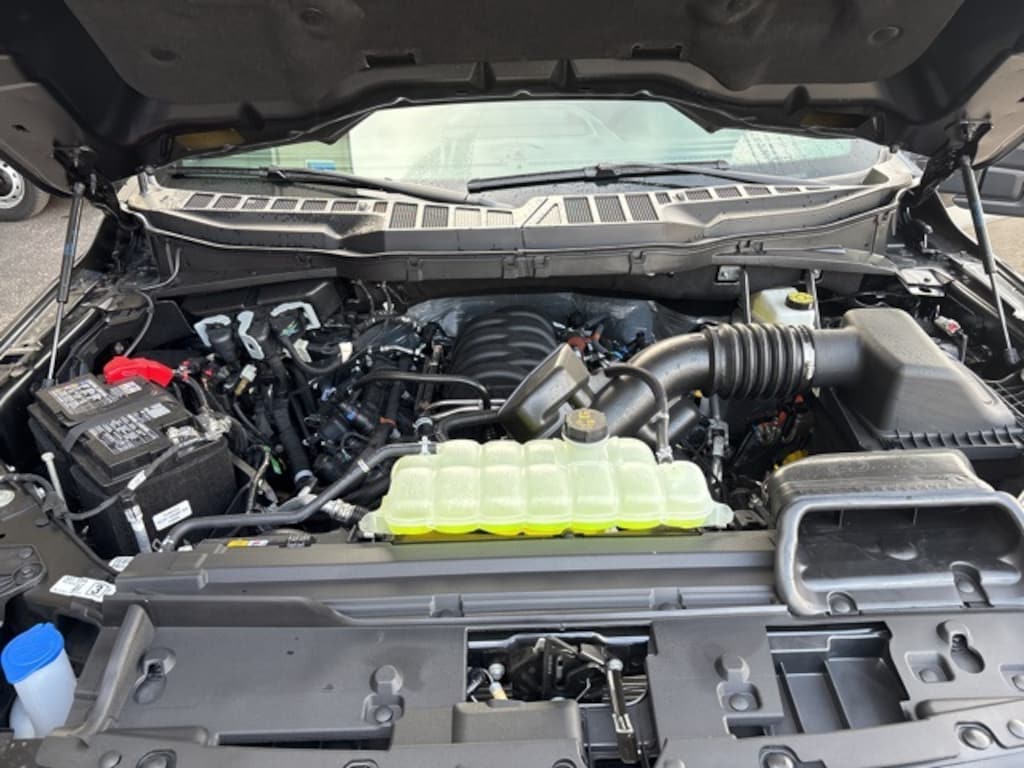 New 2025 Ford F-150 XLT Truck