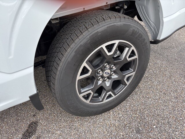 2025 Ford F-150 STX photo 4