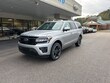 Ford Expedition Max