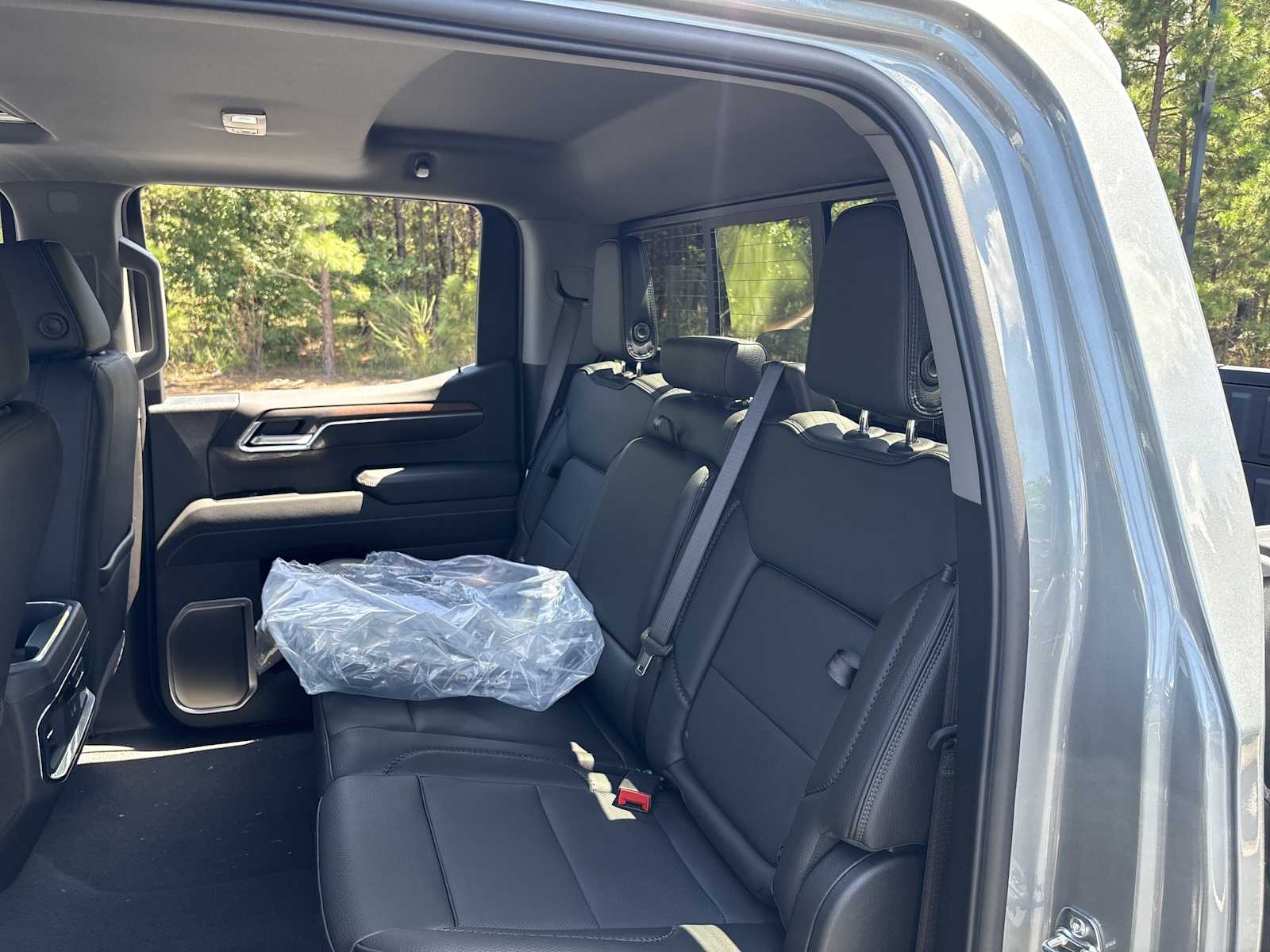 2026 GMC Sierra 1500 Denali - Photo 19