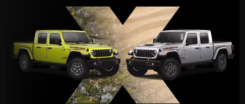 stand out on every terrain