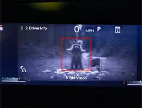 &nbsp; Night Vision Camera 