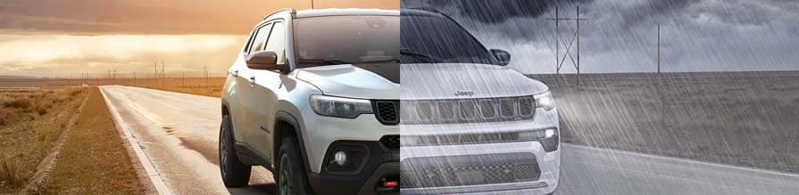 Weathering the Storm