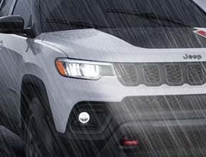 lighting the way forward