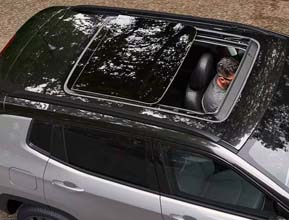 open up to the world