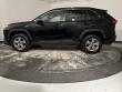 2025 Toyota RAV4 XLE SUV