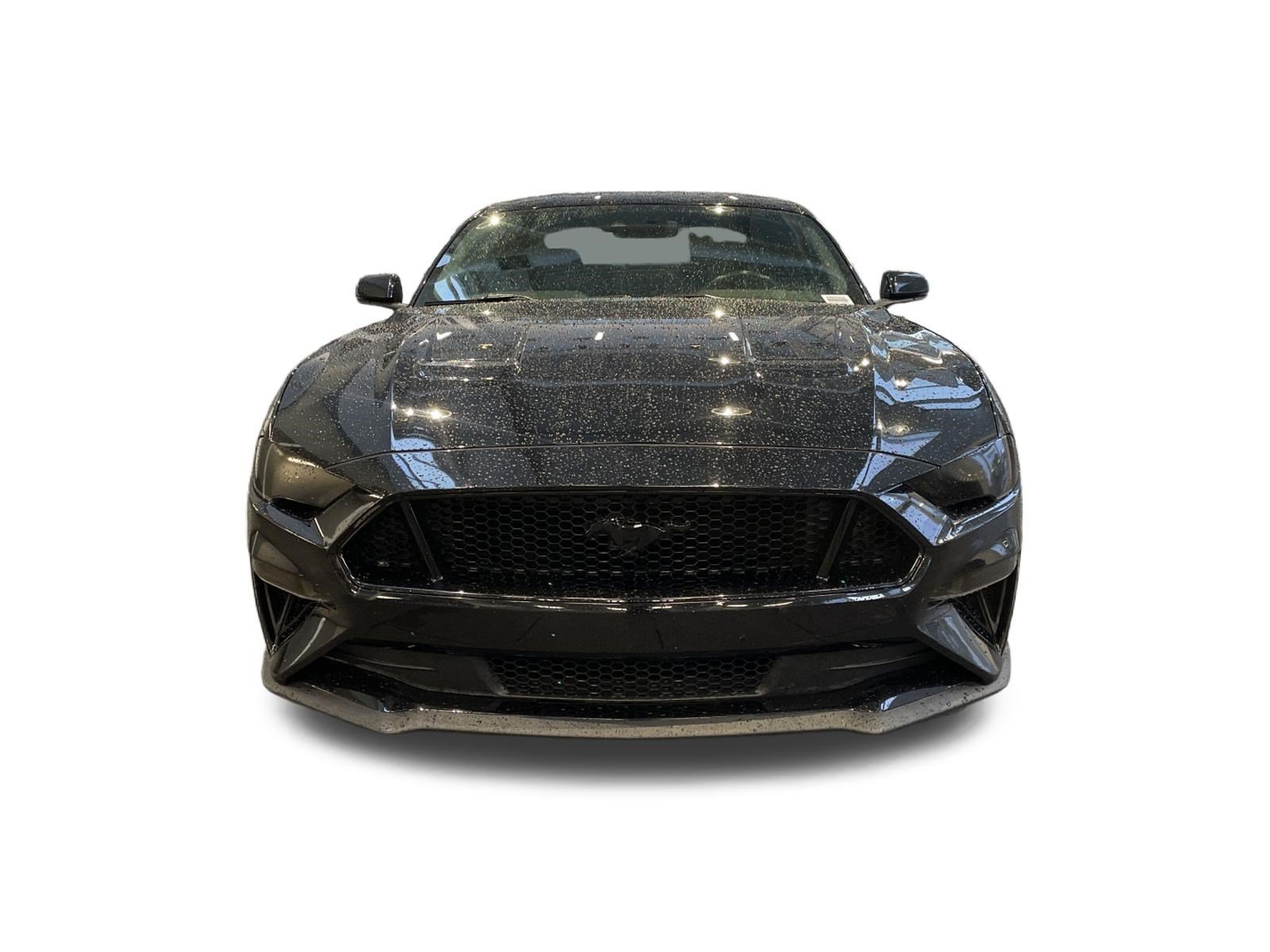 Used 2019 Ford Mustang GT Premium Coupe