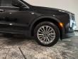 2024 CADILLAC XT4 AWD Premium Luxury SUV