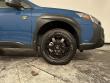 2025 Subaru Outback Wilderness SUV