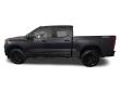 2023 Chevrolet Silverado 1500 LT Trail Boss Pickup