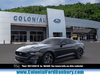 2022 Ford Mustang Ecoboost Fastback Coupe in Danbury, CT
