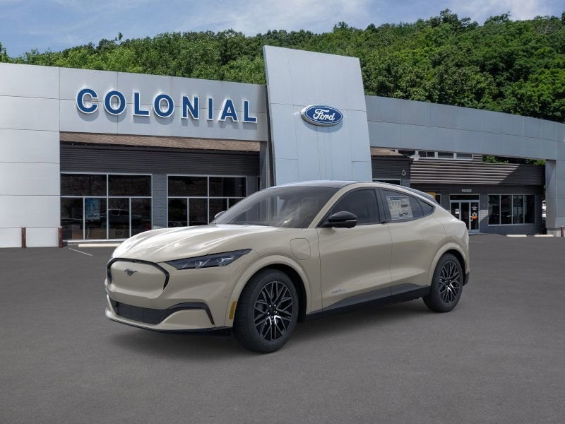 2025 Ford Mustang Mach-E Premium AWD's photo