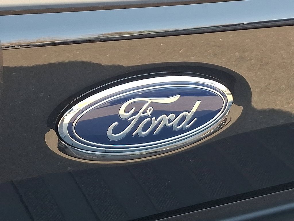 2025 Ford F-250 Super Duty Platinum - Photo 31