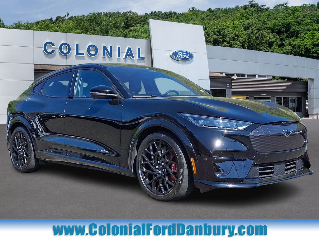 2023 Ford Mustang-Mach-e GT's photo