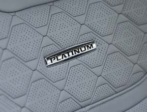 Platinum Lux Leather Package