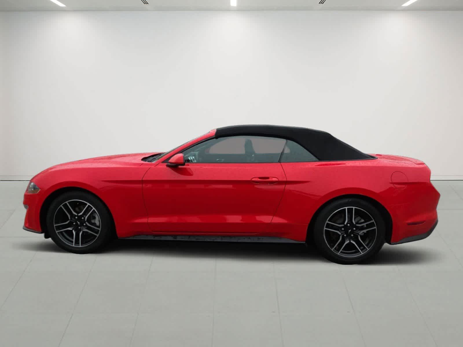 Used 2023 Ford Mustang EcoBoost Premium with VIN 1FATP8UHXP5109513 for sale in Marlboro, MA