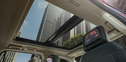  Panoramic Vista Roof