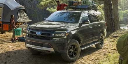 Ecoboost 3.5L Engine