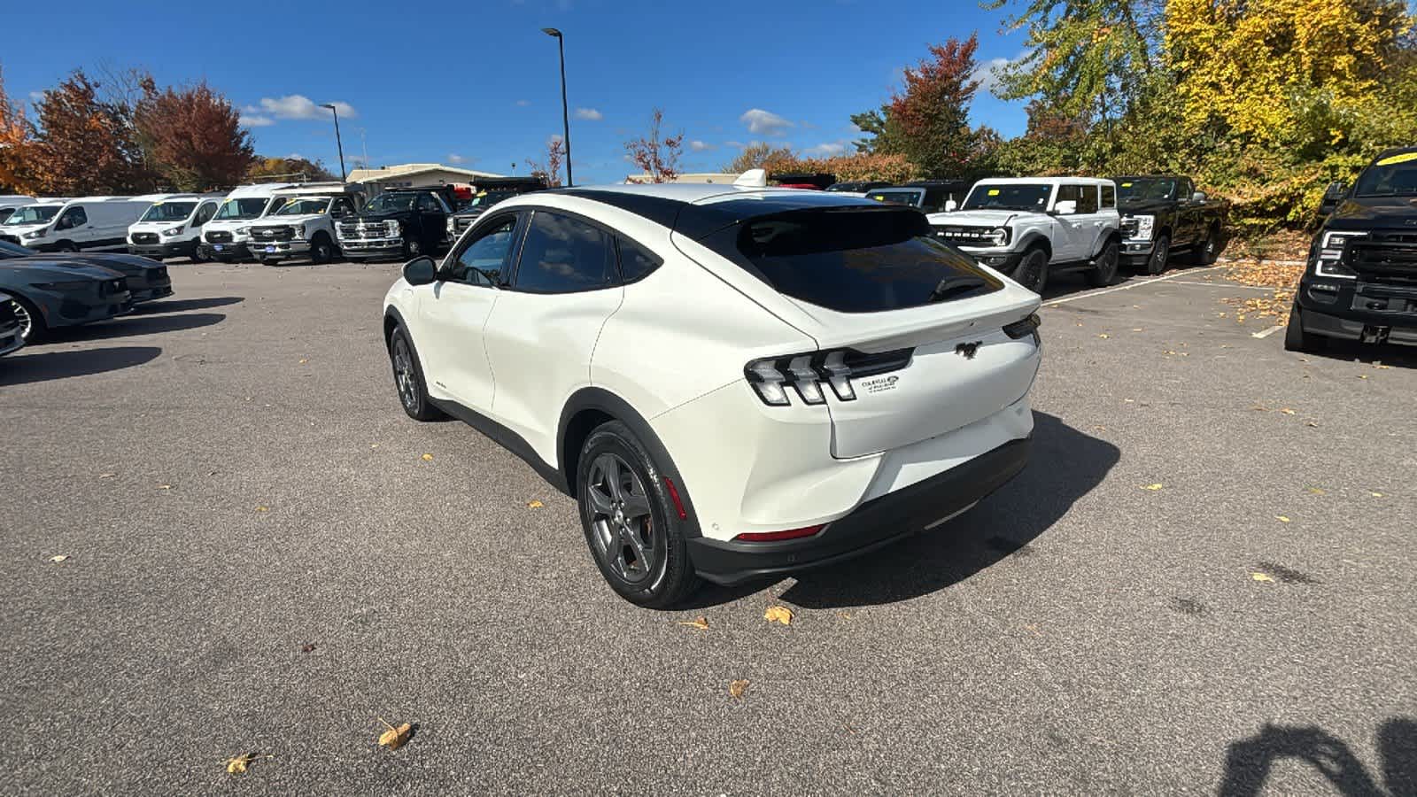 2021 Ford Mustang Mach-E Select photo 3