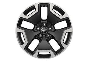 18 Ebony Black-Painted Aluminum Wheel