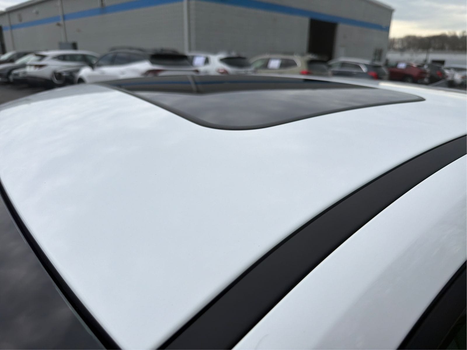 2025 Hyundai Elantra Limited - Photo 12