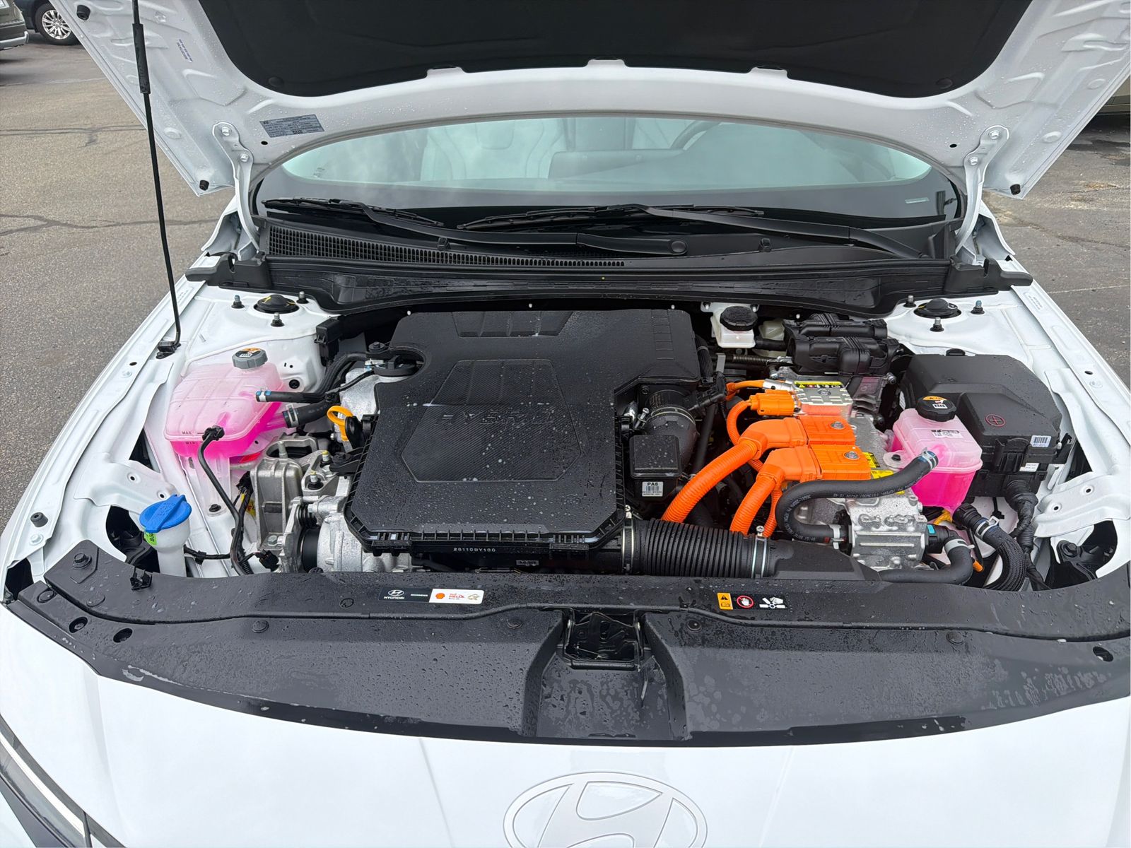 2025 Hyundai Elantra Limited - Photo 24