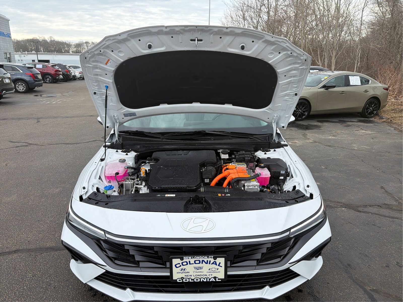 2025 Hyundai Elantra Limited - Photo 11