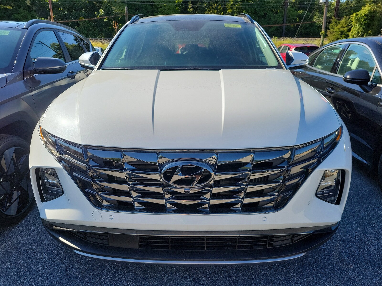 2024 Hyundai Tucson Hybrid Limited photo 2