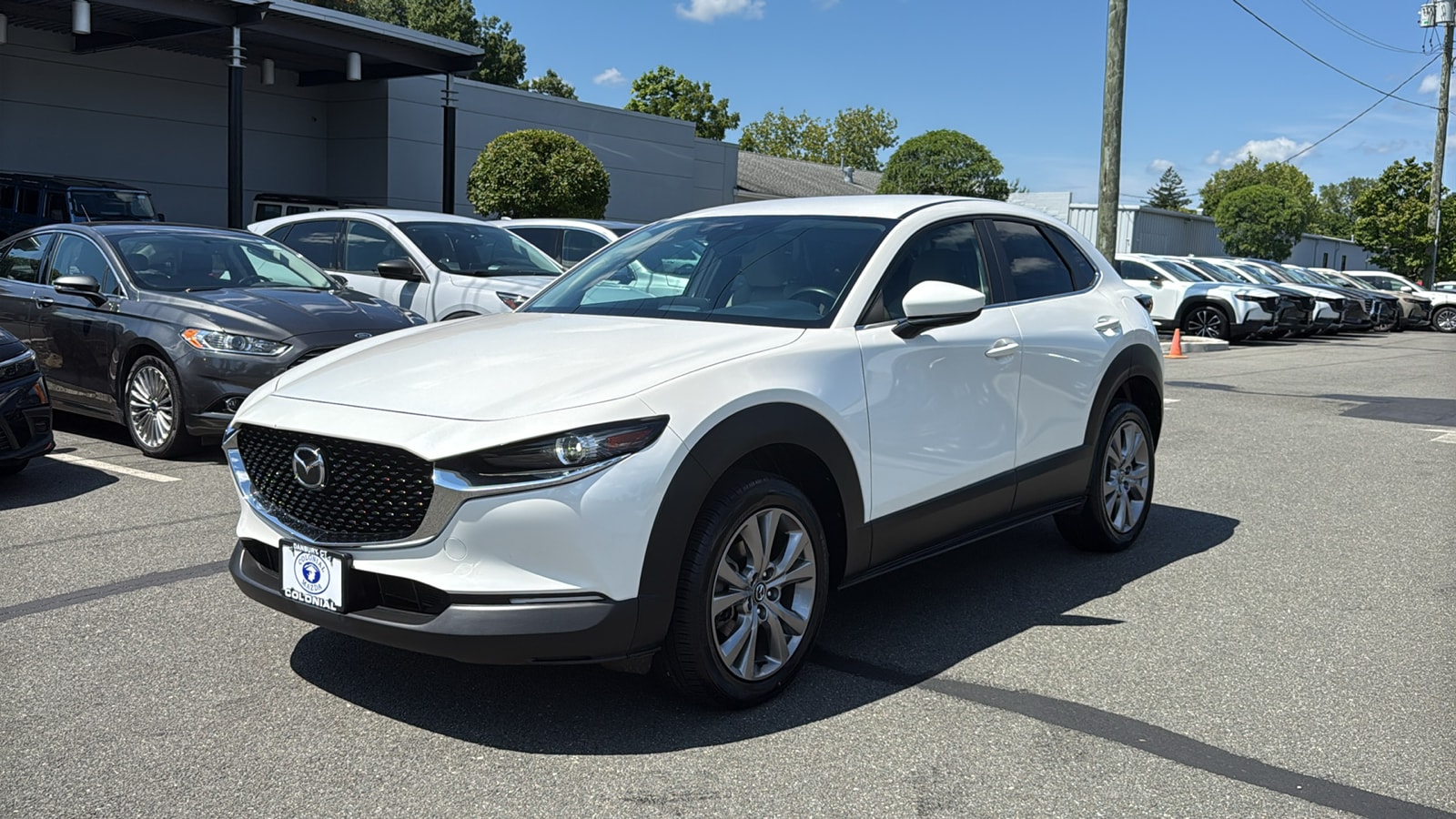 Photo 3