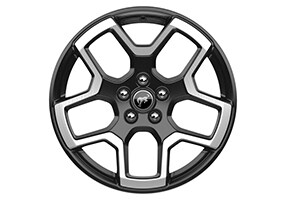 18 Ebony Black-Painted Wheel