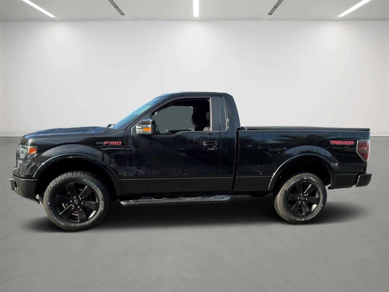 2014 Ford F-150 FX4 Tremor photo 2