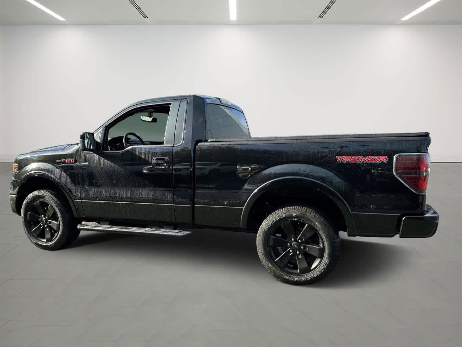 2014 Ford F-150 FX4 Tremor photo 3