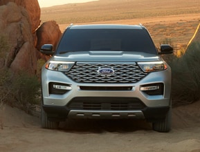 Where Beauty and Muscle Meet