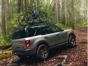  Platinum/ Platinum Hybrid