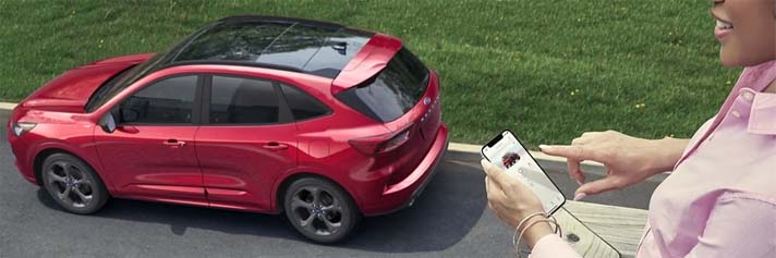 Stay in the Know on the Go