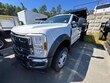 Ford F-550 Chassis