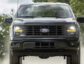 shield of confidence