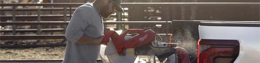 2025 Ford-150 image 1