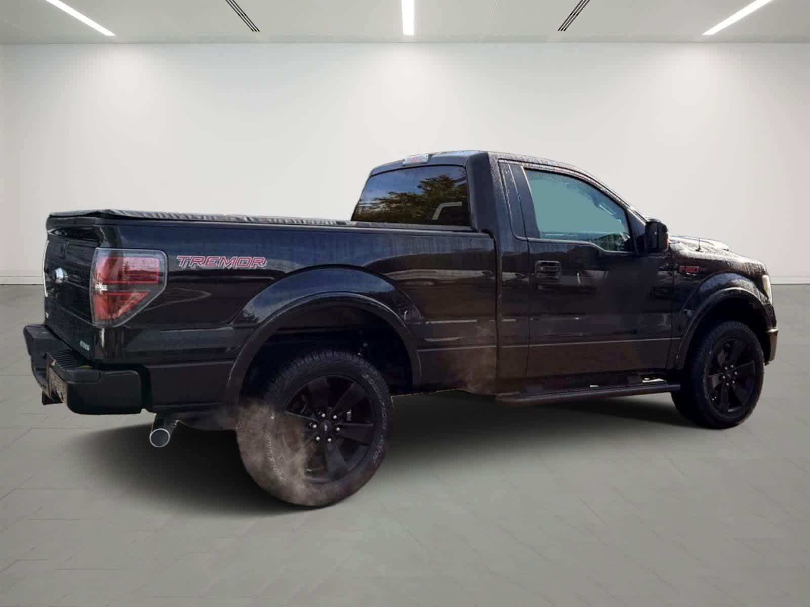2014 Ford F-150 FX4 Tremor photo 4