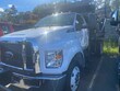 Ford F-650 Gas