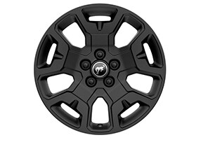 17 Black Matte-Painted Wheel