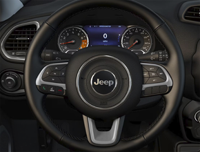 HEATED STEERING WHEEL