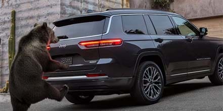 Hands-Free Power Liftgate