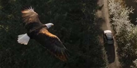 Always Angled for Excellence 