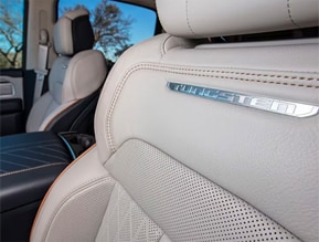 luxurious features